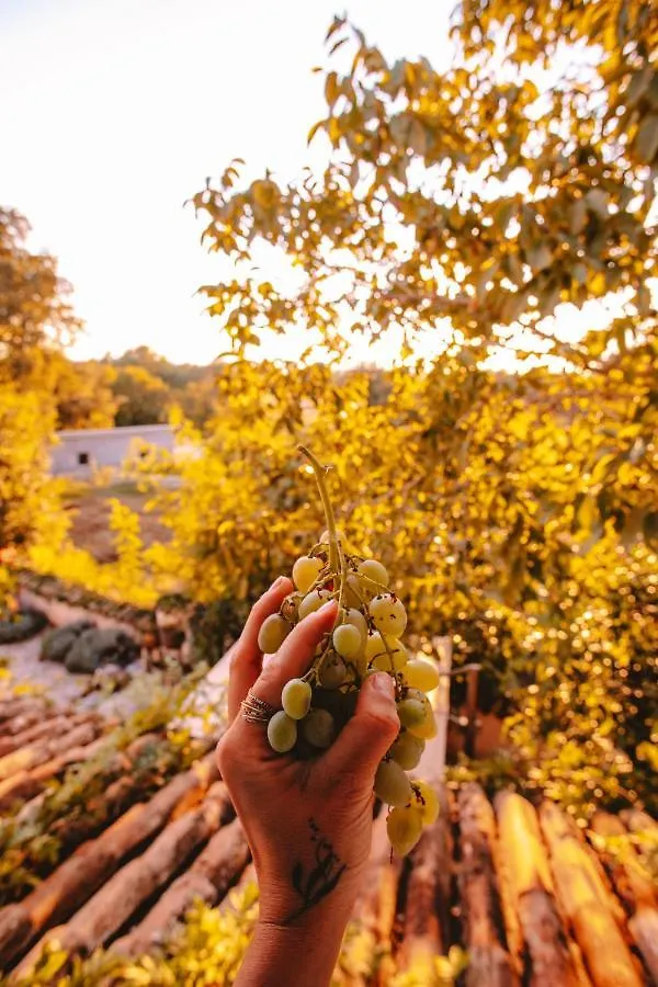 La Vita Bella Villa Baderna